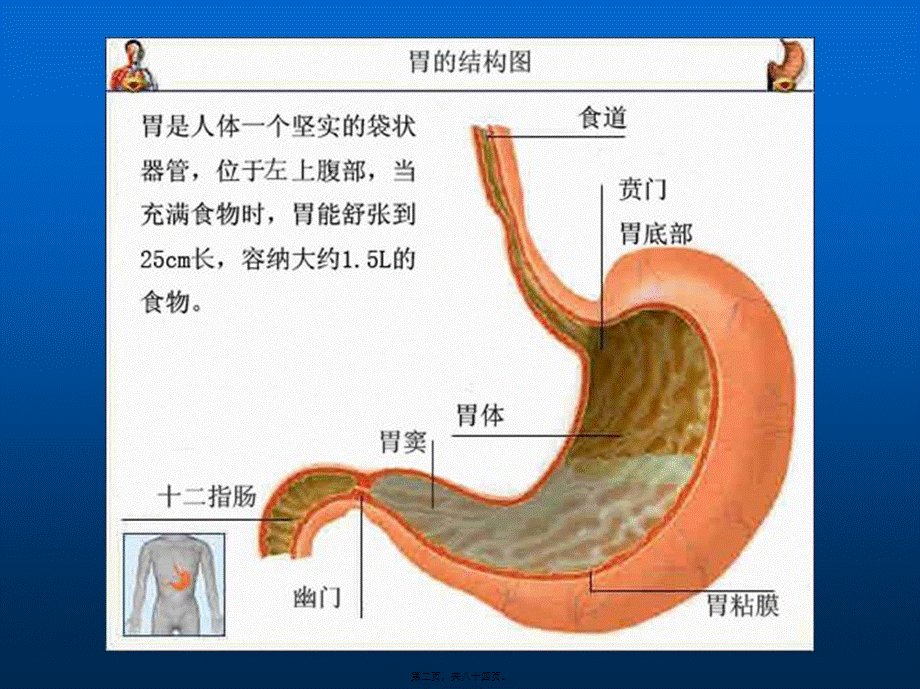 2022年医学专题—胃癌--本科教材讲课.ppt_第2页