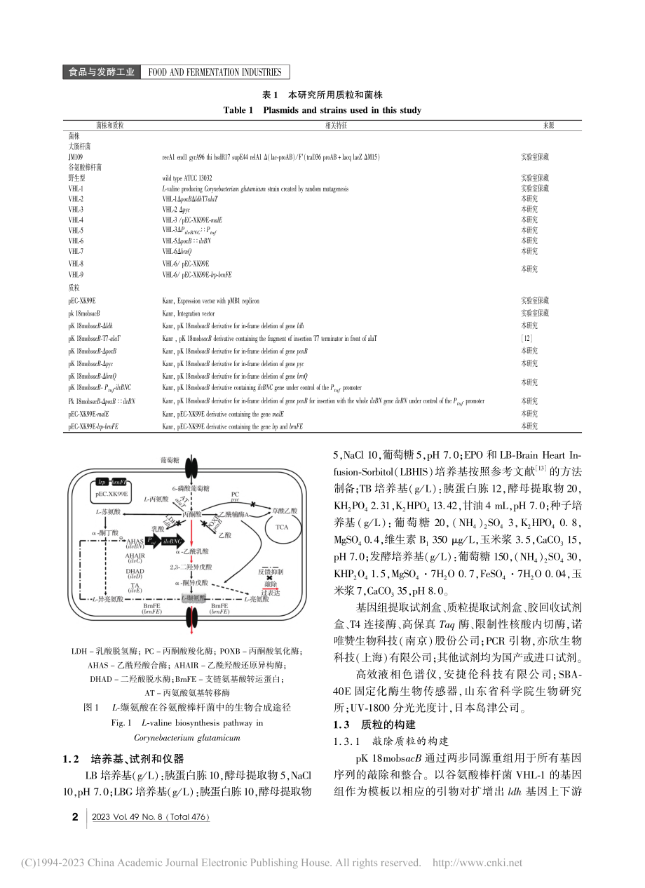 基于代谢途径改造谷氨酸棒杆菌生产L-缬氨酸_侯英婕.pdf_第2页