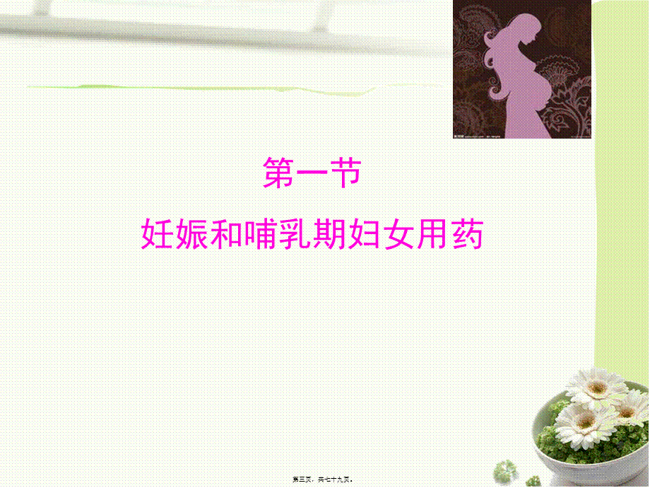 妊娠哺乳期用药.pptx_第3页