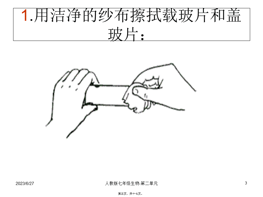 动物细胞装片制作-2.pptx_第3页