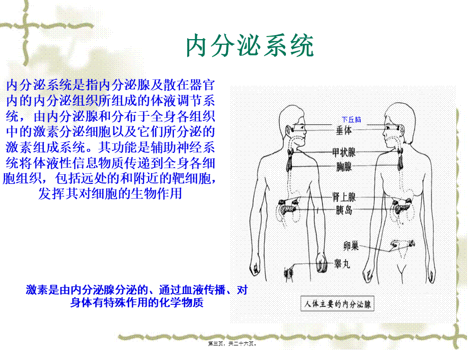 内分泌系统常见症状与体征资料.pptx_第3页