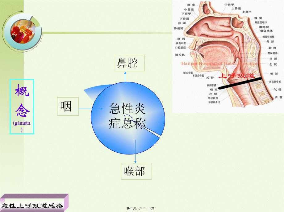 2022年医学专题—急性上呼吸(1).ppt_第3页