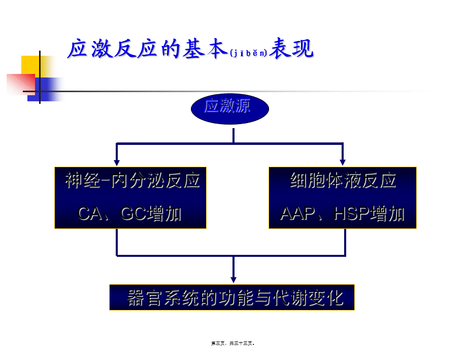 2022年医学专题—应激性消化道粘膜病变(1).ppt_第3页