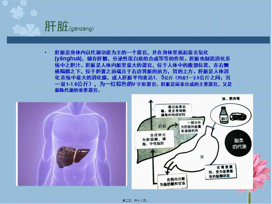 2022年医学专题—最新专家讲解慢性病之肝病-河北肝硬化医院-PPT文档(1).ppt_第2页