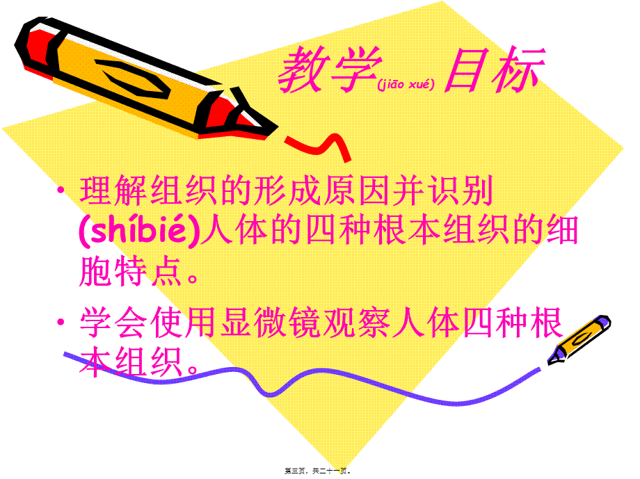 2022年医学专题—4[1].1细胞分化形成组织1(1).ppt_第3页