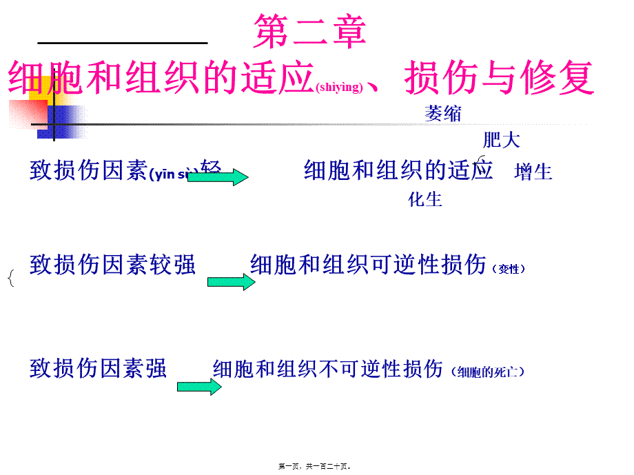 2022年医学专题—第1章--细胞和组织的适应、损伤与修复.ppt_第1页