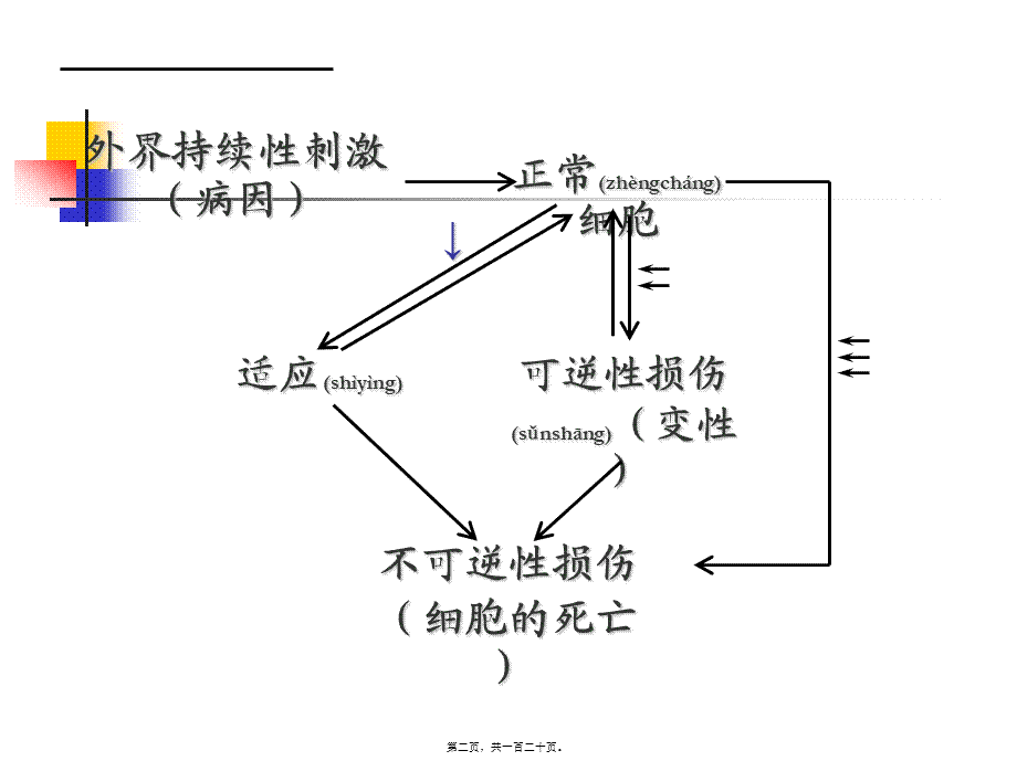 2022年医学专题—第1章--细胞和组织的适应、损伤与修复.ppt_第2页