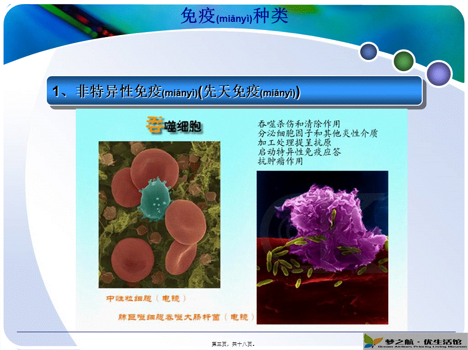 2022年医学专题—人体免疫系统(1).ppt_第3页