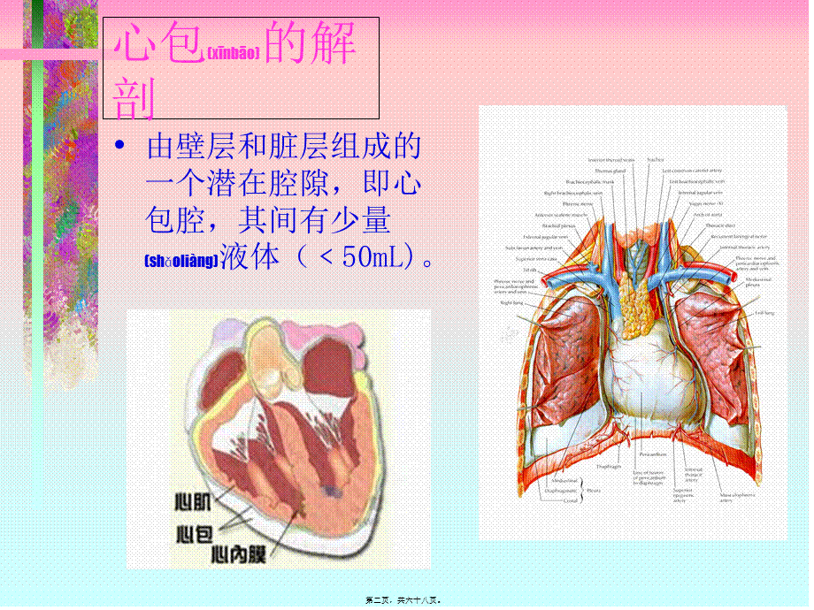 2022年医学专题—心包炎.ppt_第2页