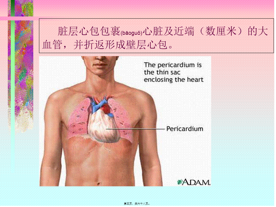 2022年医学专题—心包炎.ppt_第3页