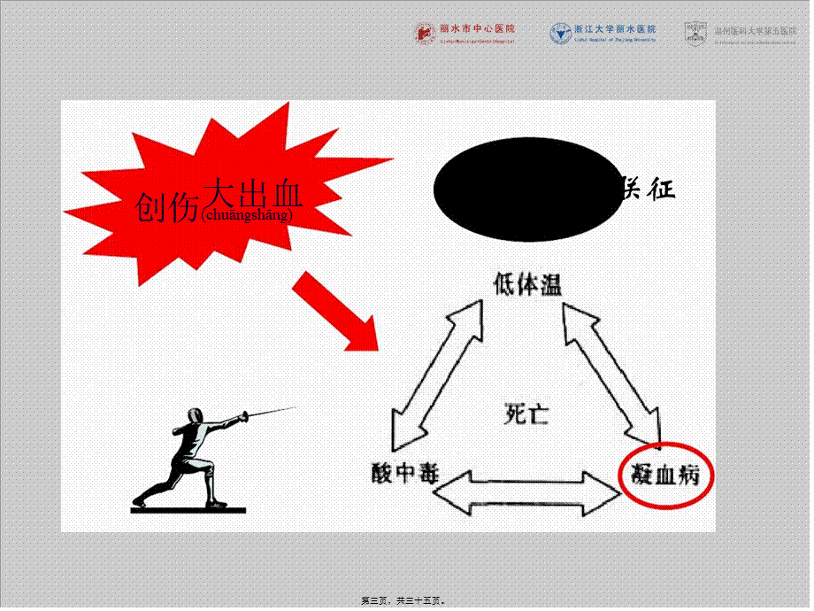 2022年医学专题—严重创伤出血和凝血病处理欧洲指南.ppt_第3页