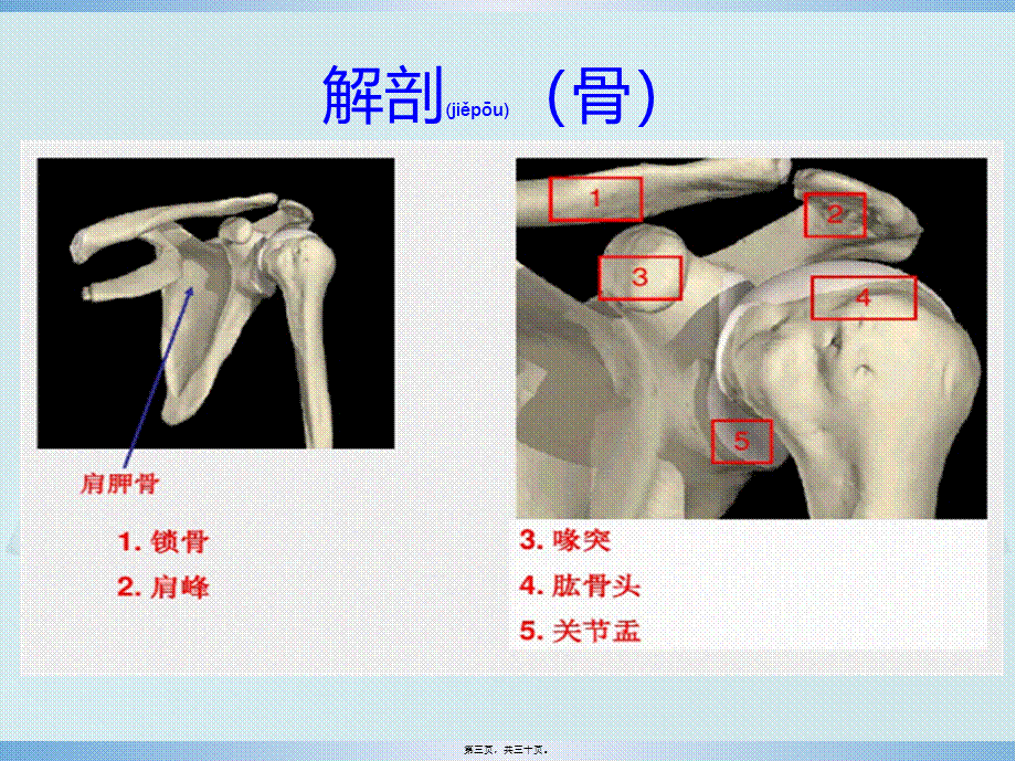 2022年医学专题—肩关节疼痛的体格检查(1).pptx_第3页