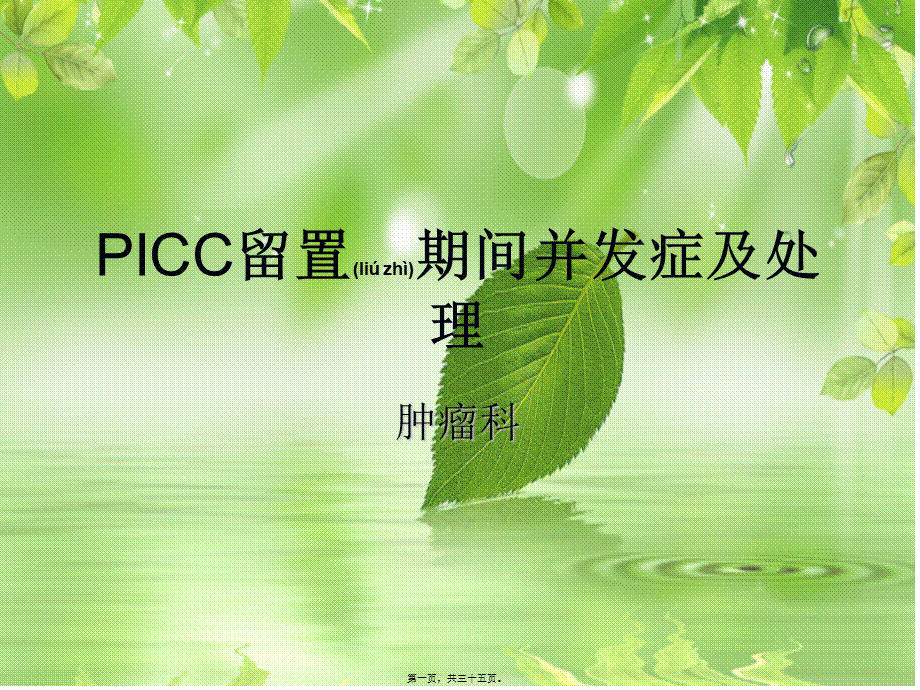 2022年医学专题—PICC-留置期间并发症(1).ppt_第1页