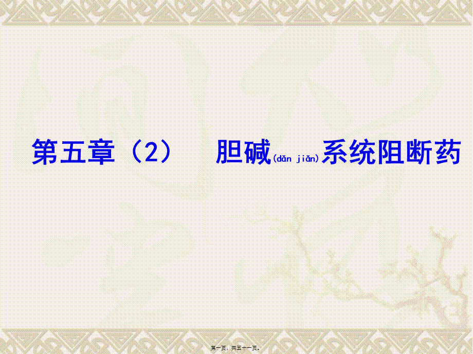 2022年医学专题—第五章(2)胆碱系统阻断药.ppt_第1页