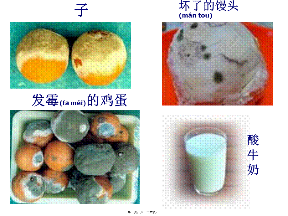 2022年医学专题—第四章第一节.细菌和真菌的分布(1).ppt_第3页