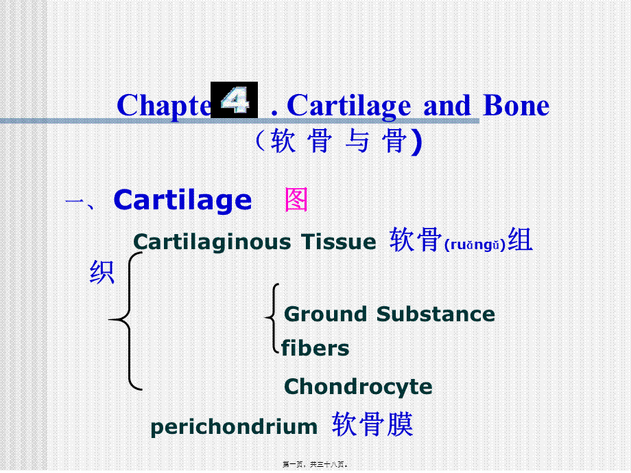 2022年医学专题—组织胚胎学8.软骨与骨(1).ppt_第1页