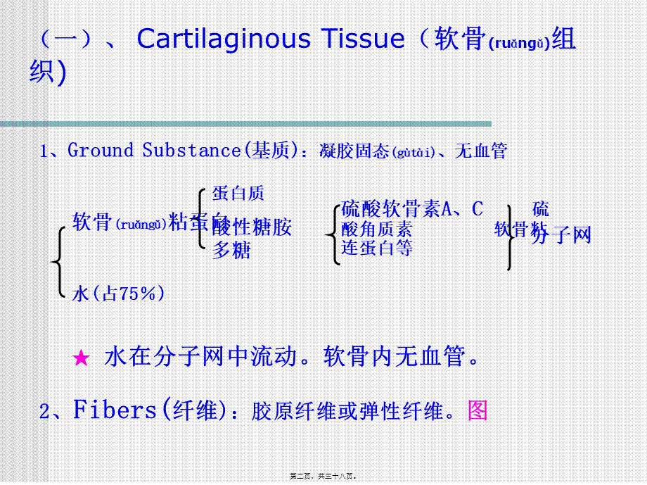 2022年医学专题—组织胚胎学8.软骨与骨(1).ppt_第2页