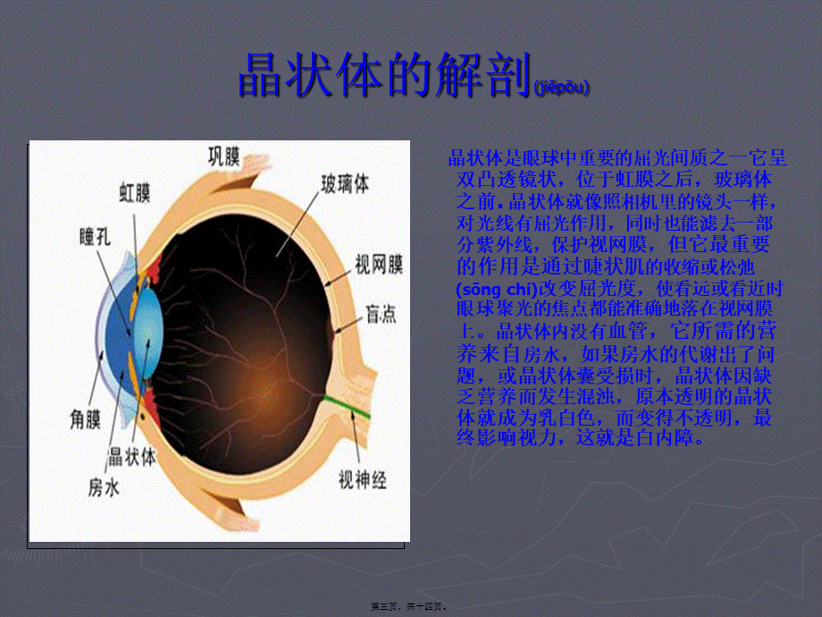 2022年医学专题—白内障超声乳化--(2).ppt_第3页