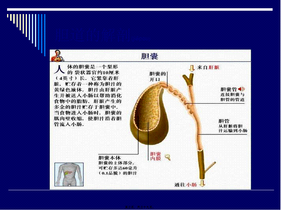 2022年医学专题—胆道结石业务查房(1).ppt_第3页