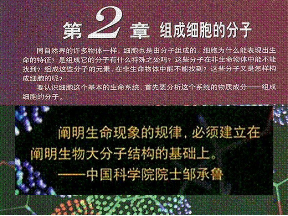 2022年医学专题—细胞元素化合物.ppt_第2页