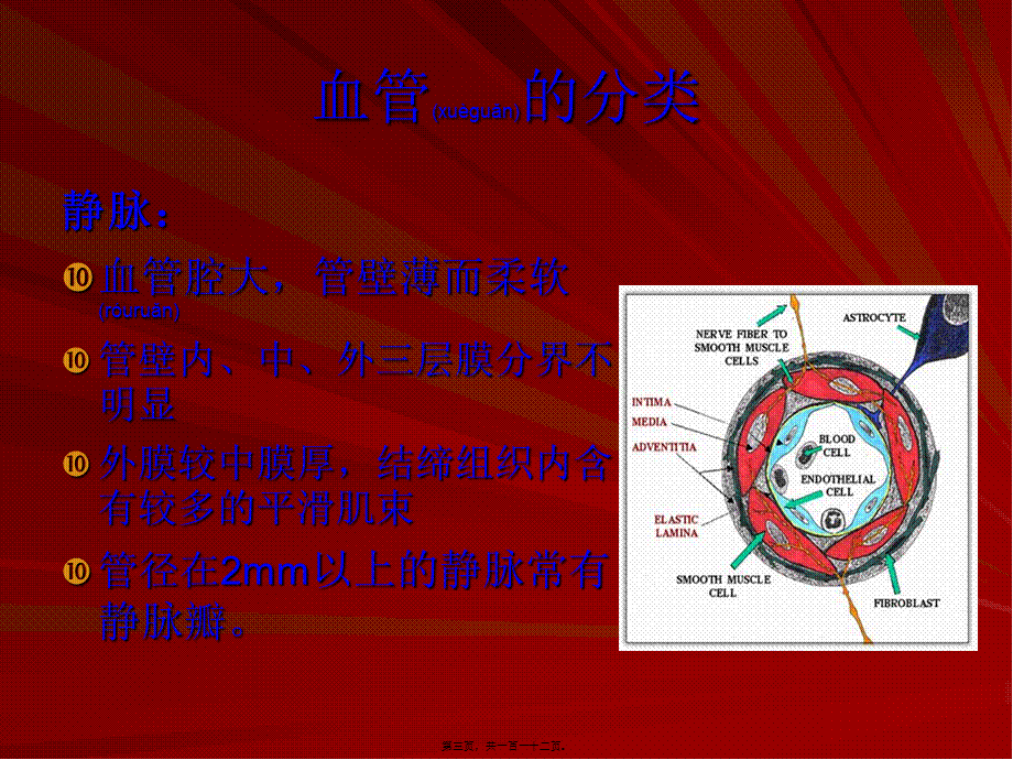 2022年医学专题—脑血管(脑动脉系)资料(1).ppt_第3页