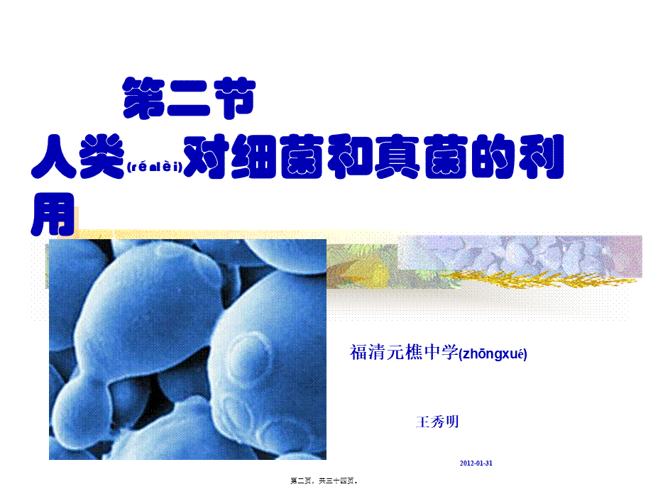 2022年医学专题—第二节人类对细菌及真菌的利用.ppt_第2页