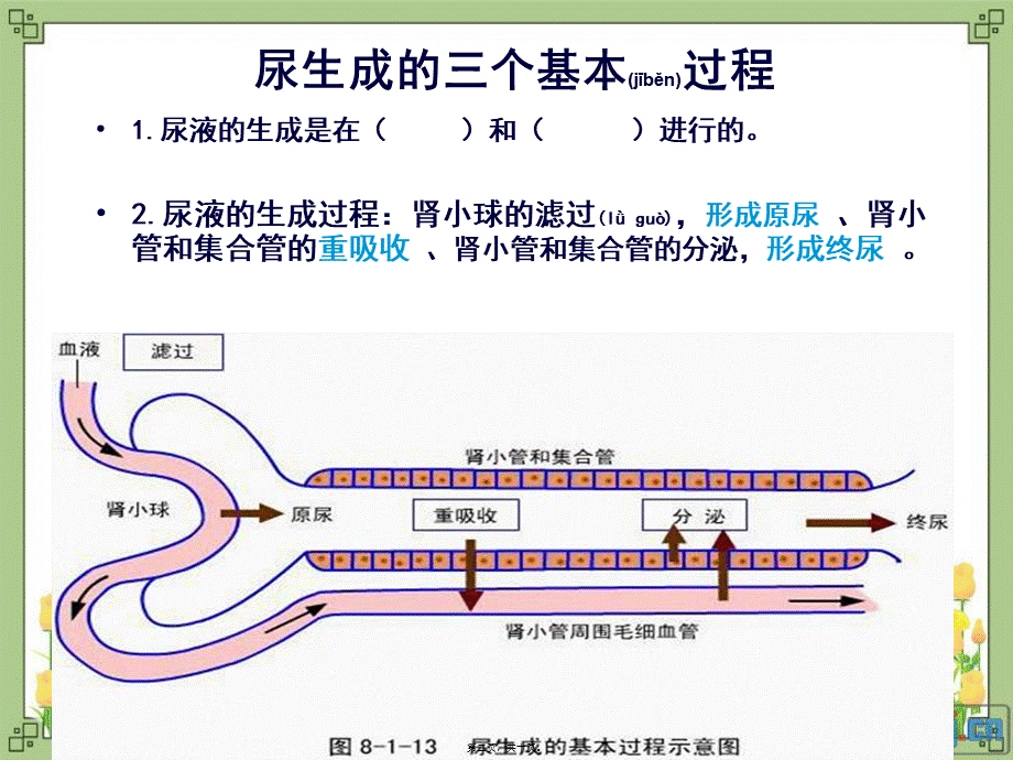 2022年医学专题—电学屏障带负电的糖蛋白排斥带负电的血浆蛋白(1).ppt_第2页