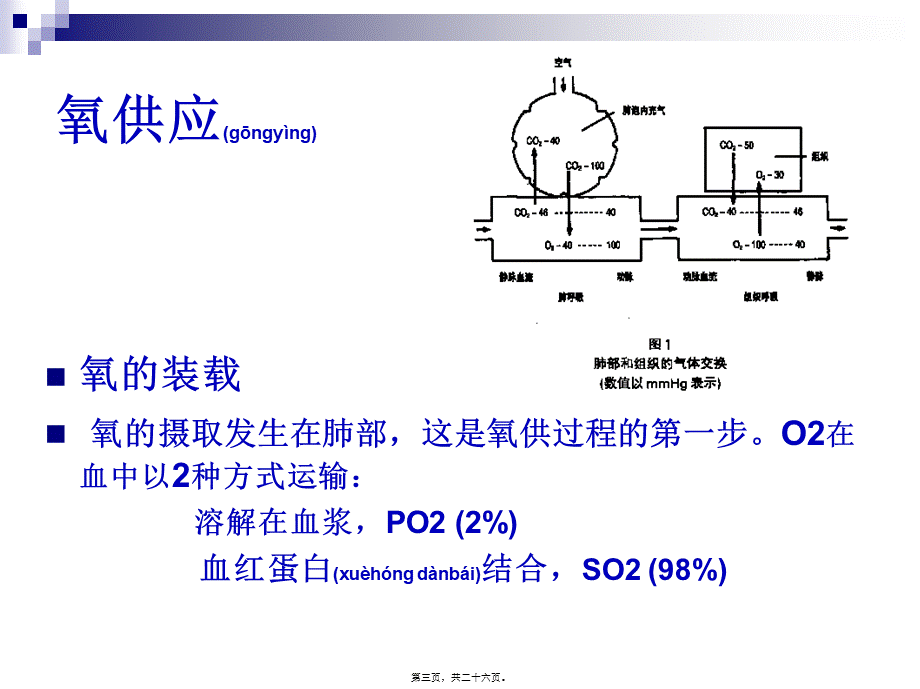 2022年医学专题—混合血氧饱和度的监测.ppt_第3页