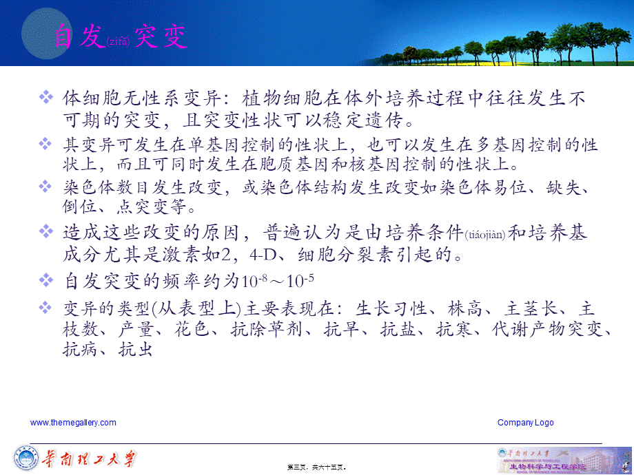 2022年医学专题—细胞工程-第三章-植物组织培养技术4-(2)(1).ppt_第3页