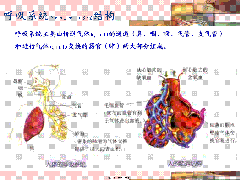 2022年医学专题—慢阻肺-呼吸衰竭.ppt_第3页