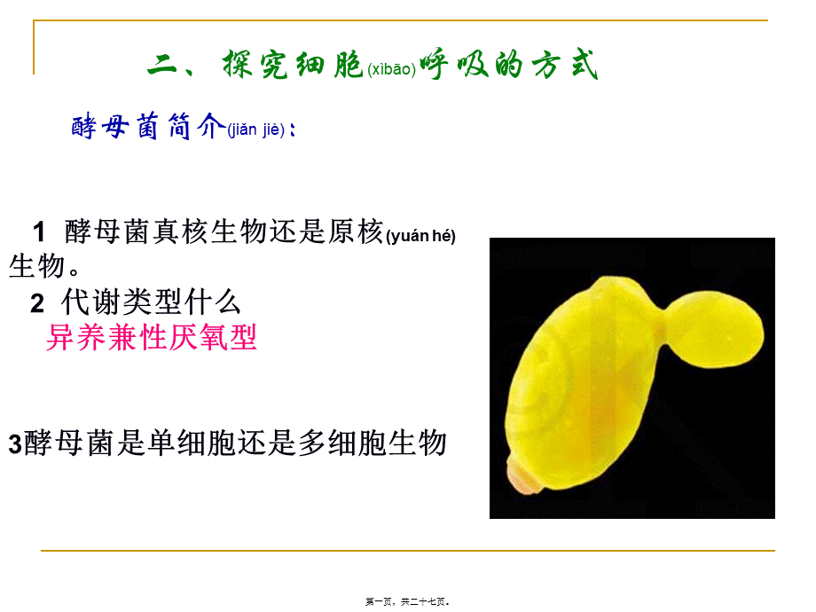 2022年医学专题—呼吸试验.ppt_第1页