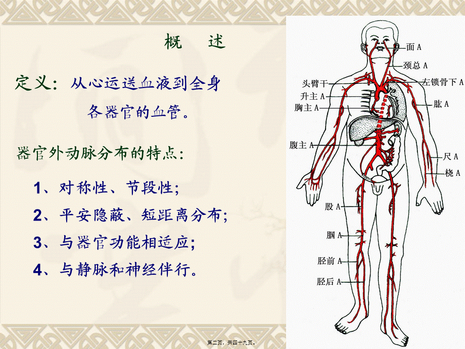 动脉20121128.pptx_第2页