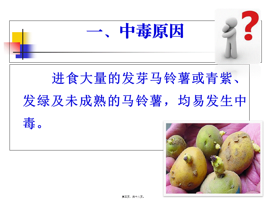 发芽马铃薯中毒(新).pptx_第3页