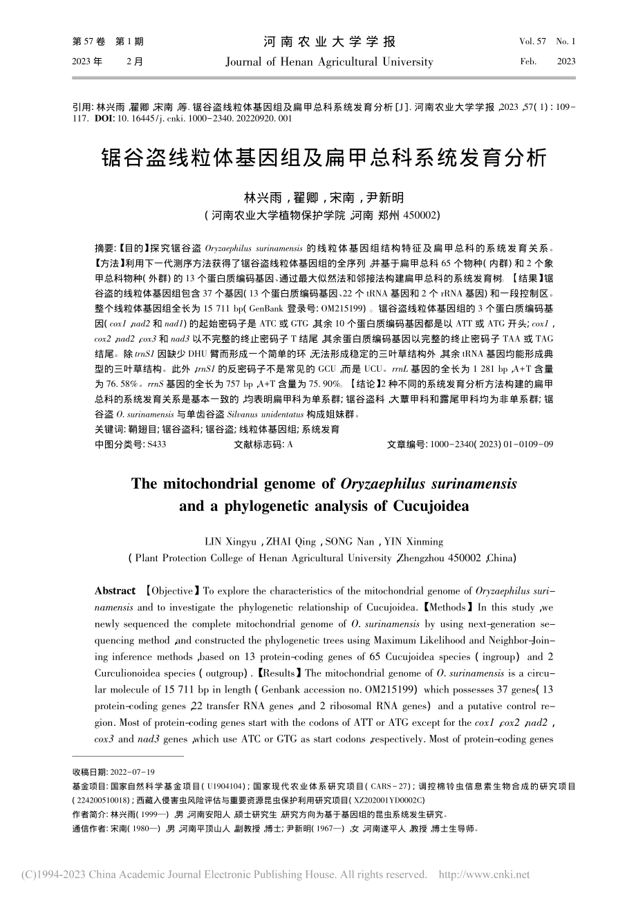 锯谷盗线粒体基因组及扁甲总科系统发育分析_林兴雨.pdf_第1页