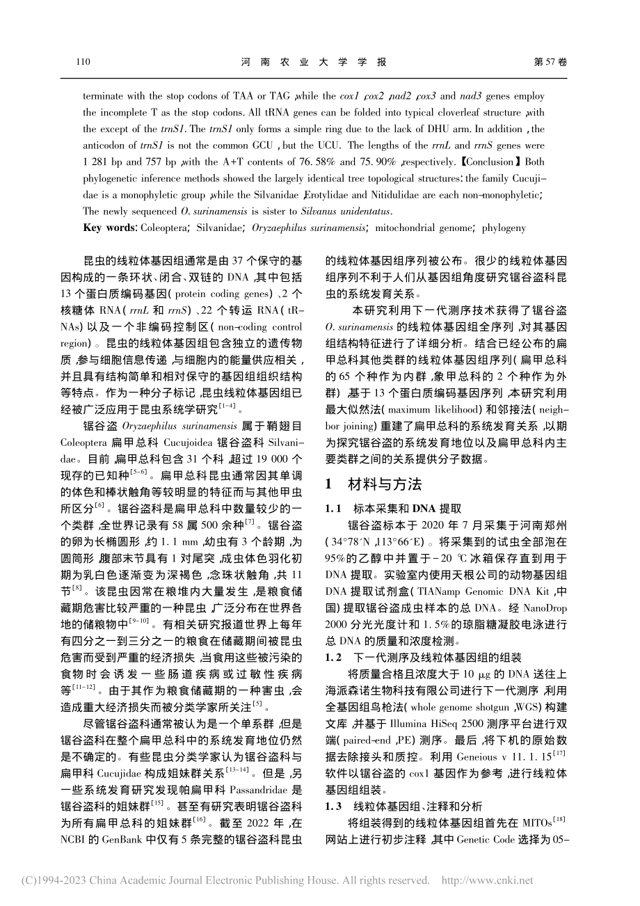 锯谷盗线粒体基因组及扁甲总科系统发育分析_林兴雨.pdf_第2页