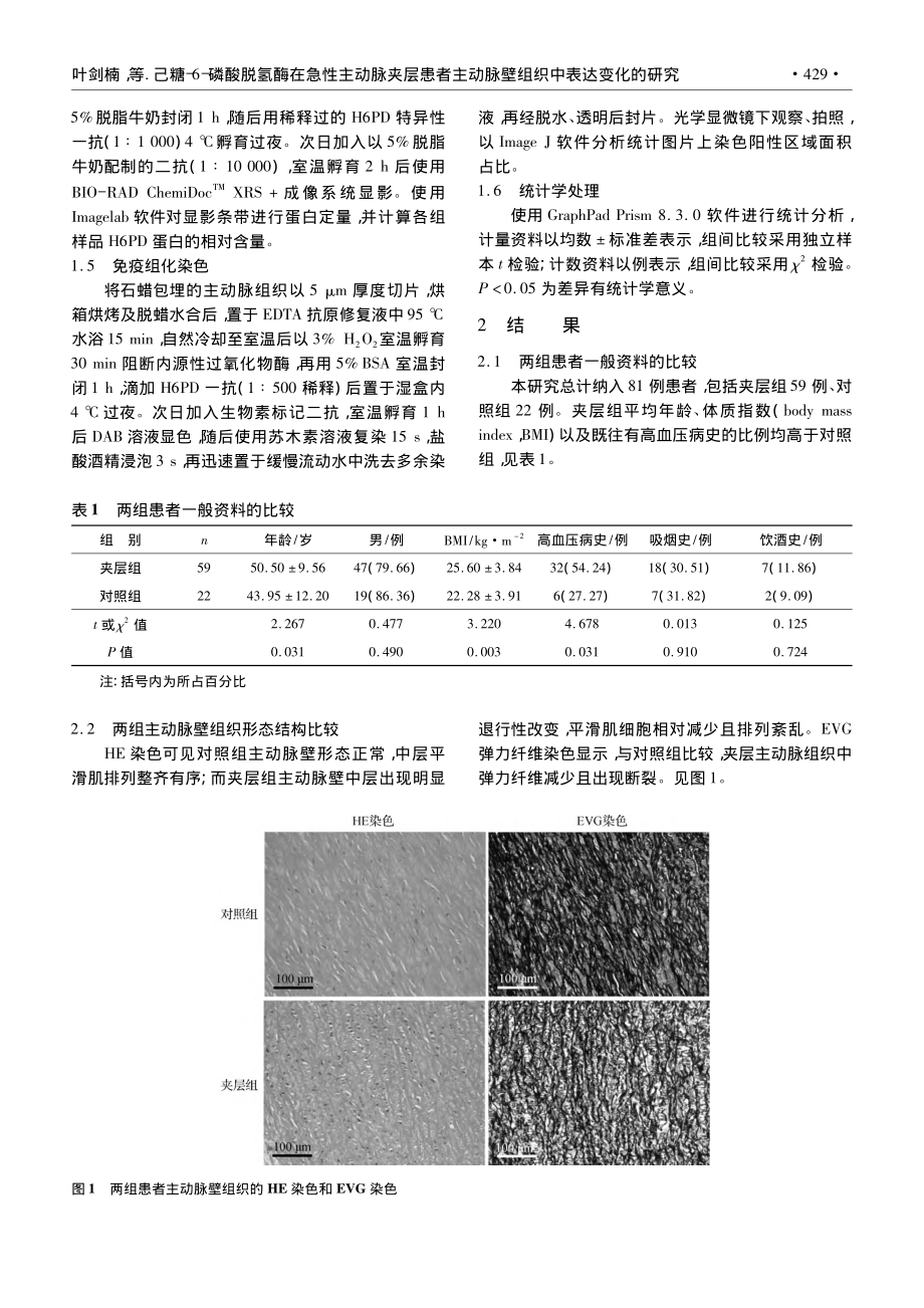 己糖-6-磷酸脱氢酶在急性...动脉壁组织中表达变化的研究_叶剑楠.pdf_第3页