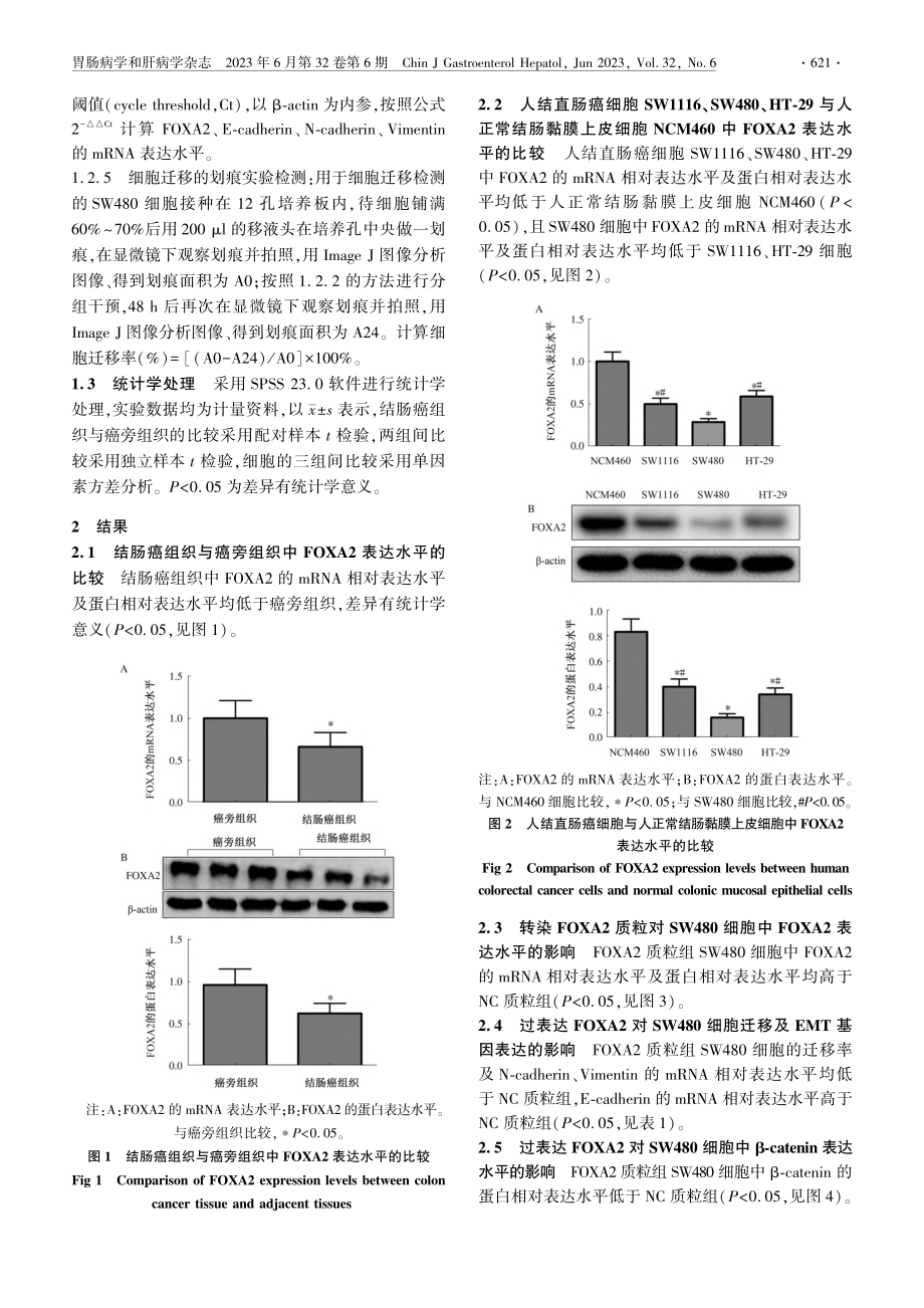 过表达FOXA2调控结肠癌...皮间质转化的作用及机制研究_江少锋.pdf_第3页