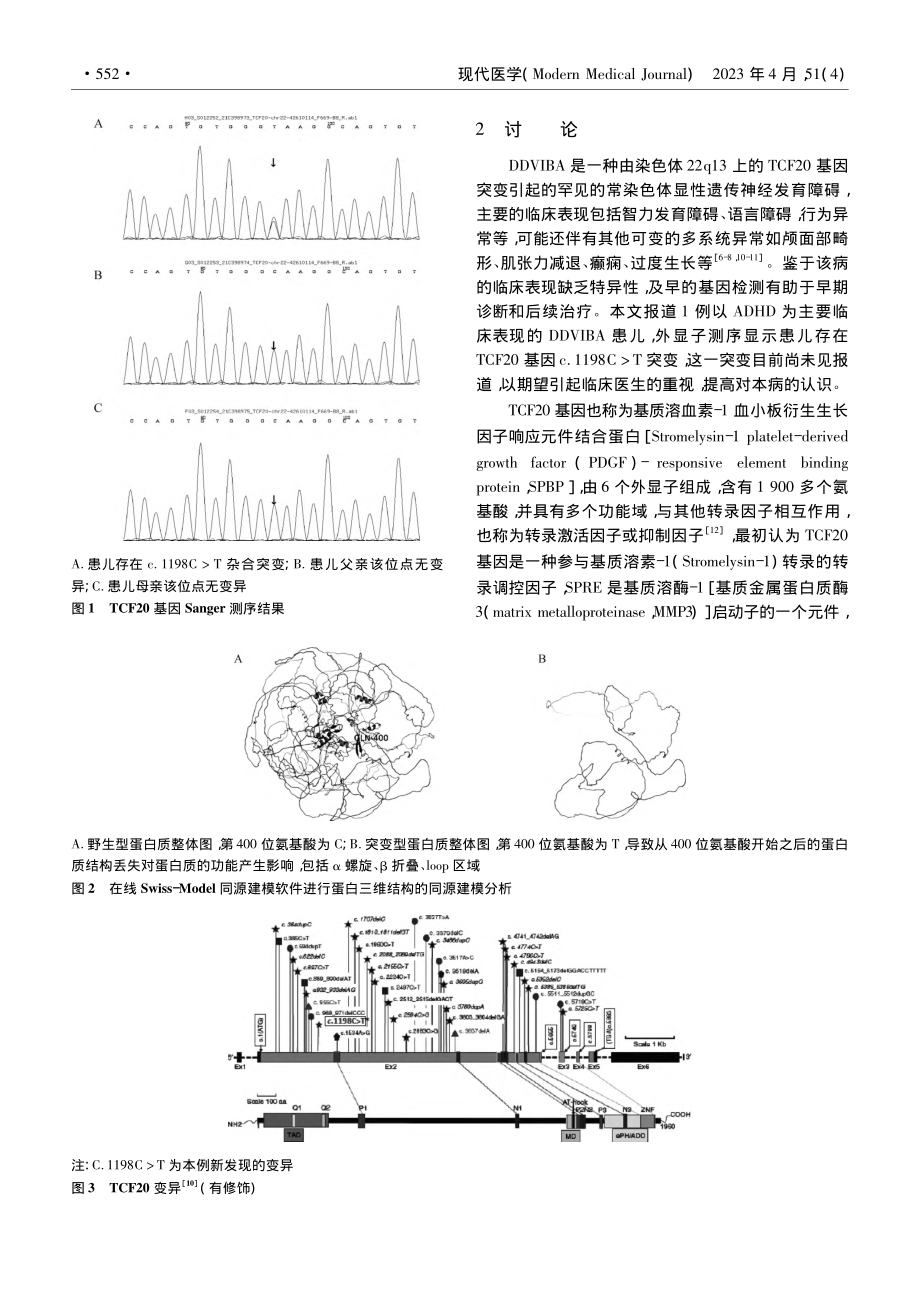 TCF20基因新发c.11...碍和行为异常一例并文献复习_周亚男.pdf_第3页