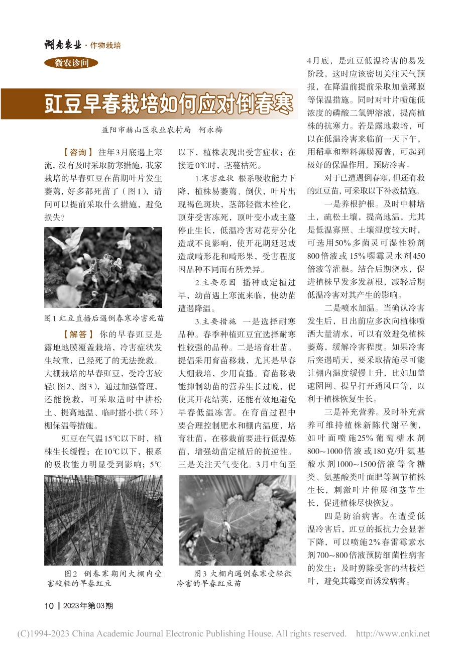 豇豆早春栽培如何应对倒春寒_何永梅.pdf_第1页