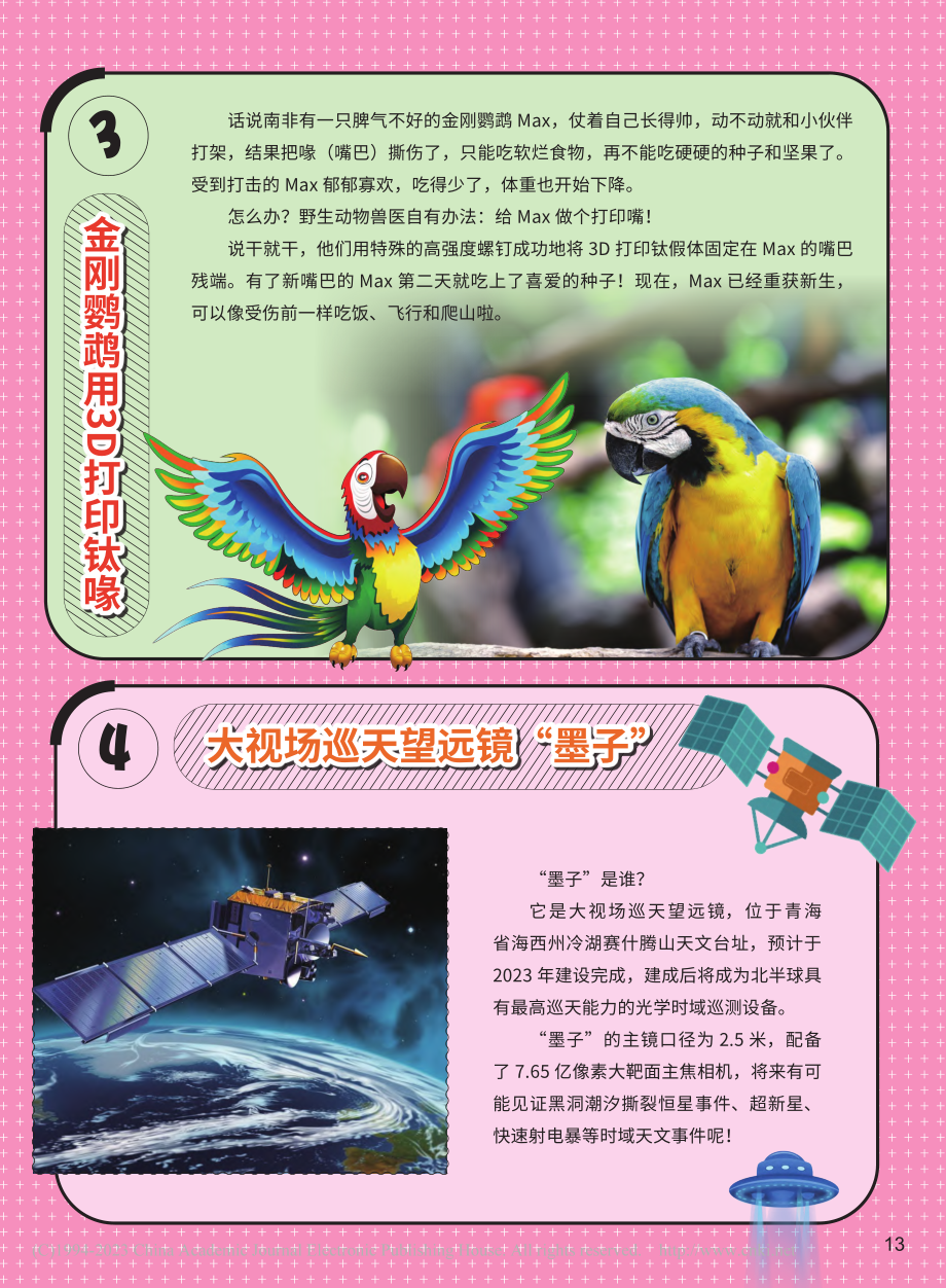 金刚鹦鹉用3D打印钛喙.pdf_第1页