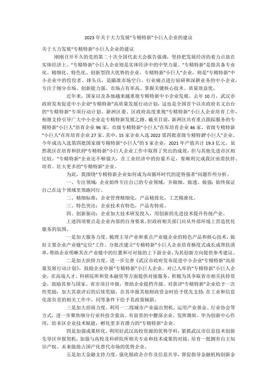 2023年关于大力发展“专精特新”小巨人企业的建议.docx_第1页