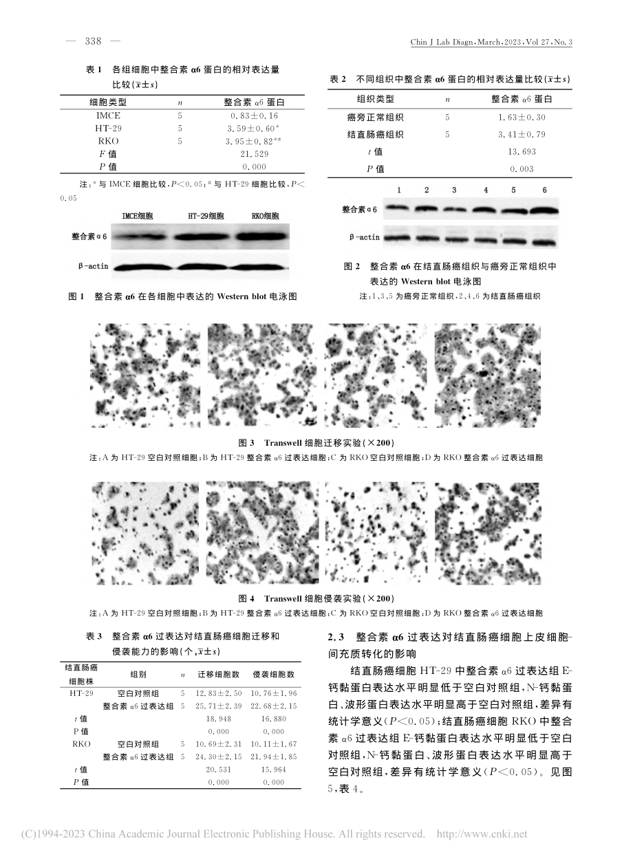 结直肠癌组织和细胞中人整合素α6的表达及作用分析_邢艳丽.pdf_第3页