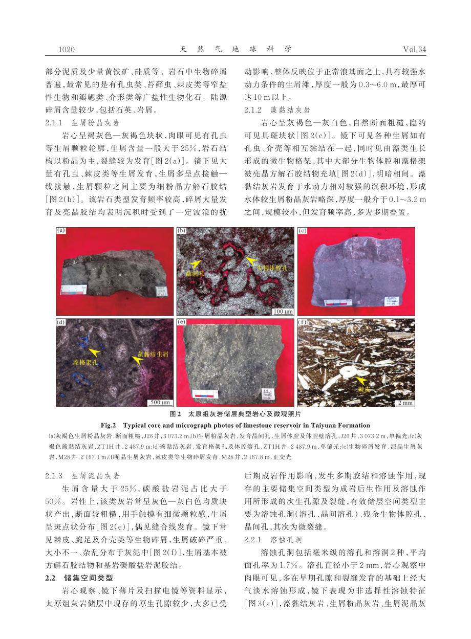 鄂尔多斯盆地二叠系太原组致密灰岩储层特征及主控因素_董国栋.pdf_第3页