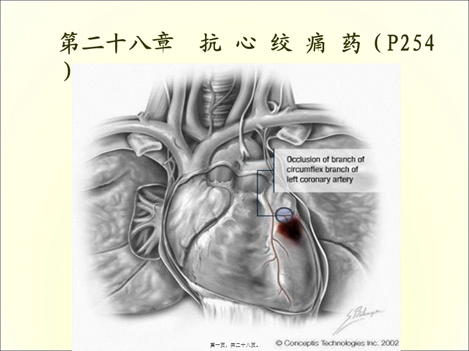 2022年医学专题—第二十四章抗心绞痛药.ppt_第1页