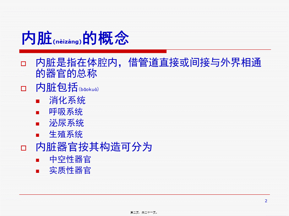 2022年医学专题—第三章--内脏学.ppt_第2页