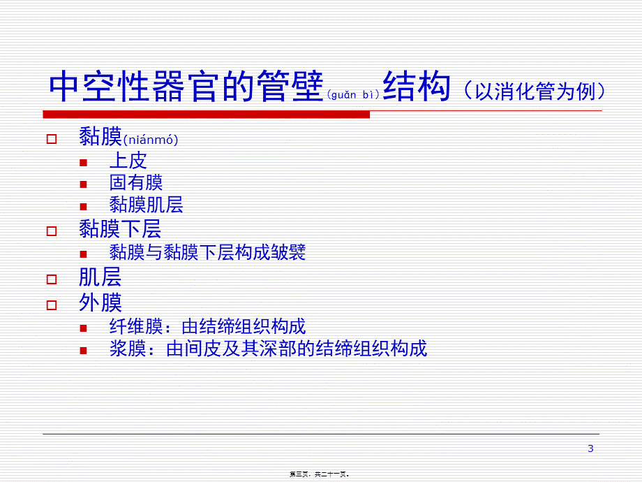 2022年医学专题—第三章--内脏学.ppt_第3页