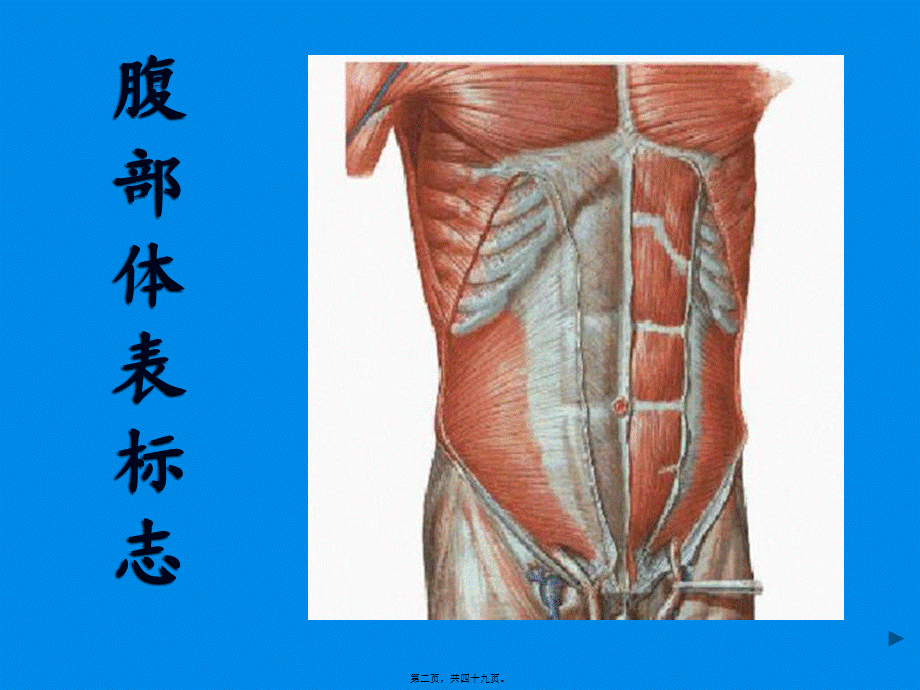 2022年医学专题—腹部检查-康复.ppt_第2页