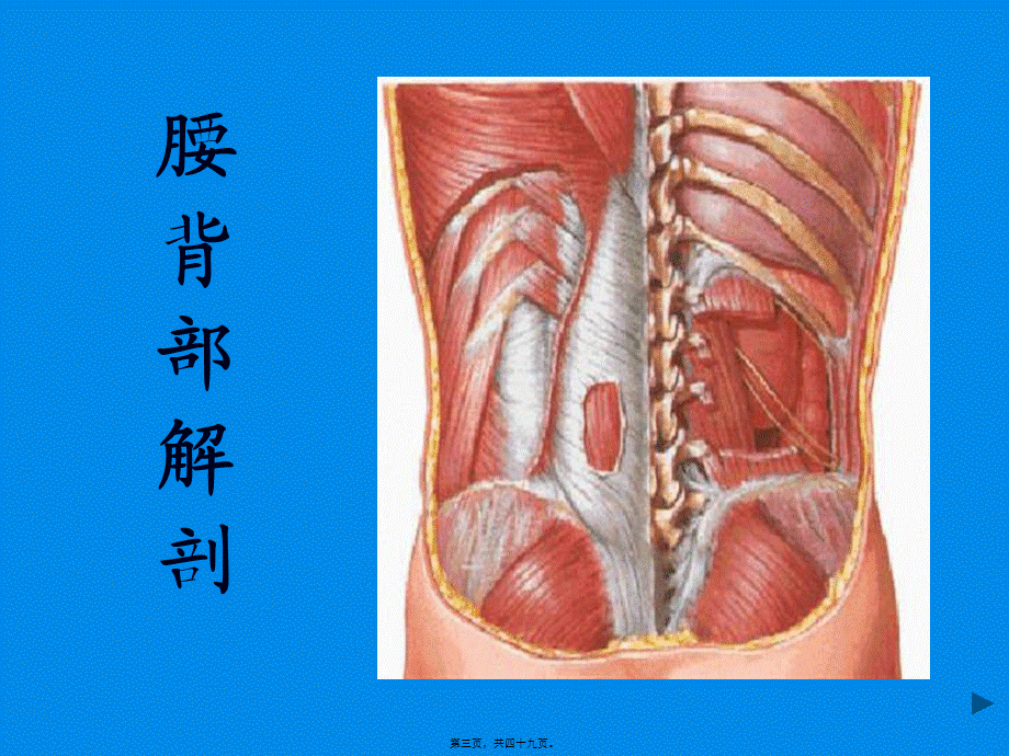 2022年医学专题—腹部检查-康复.ppt_第3页