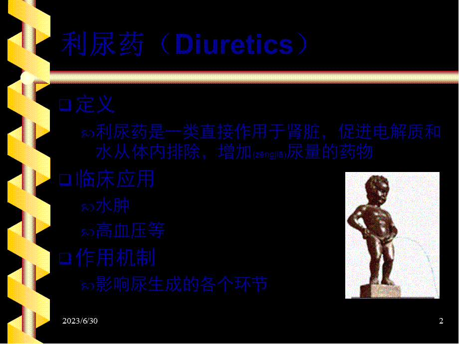 2022年医学专题—第九章-利尿药..ppt_第2页