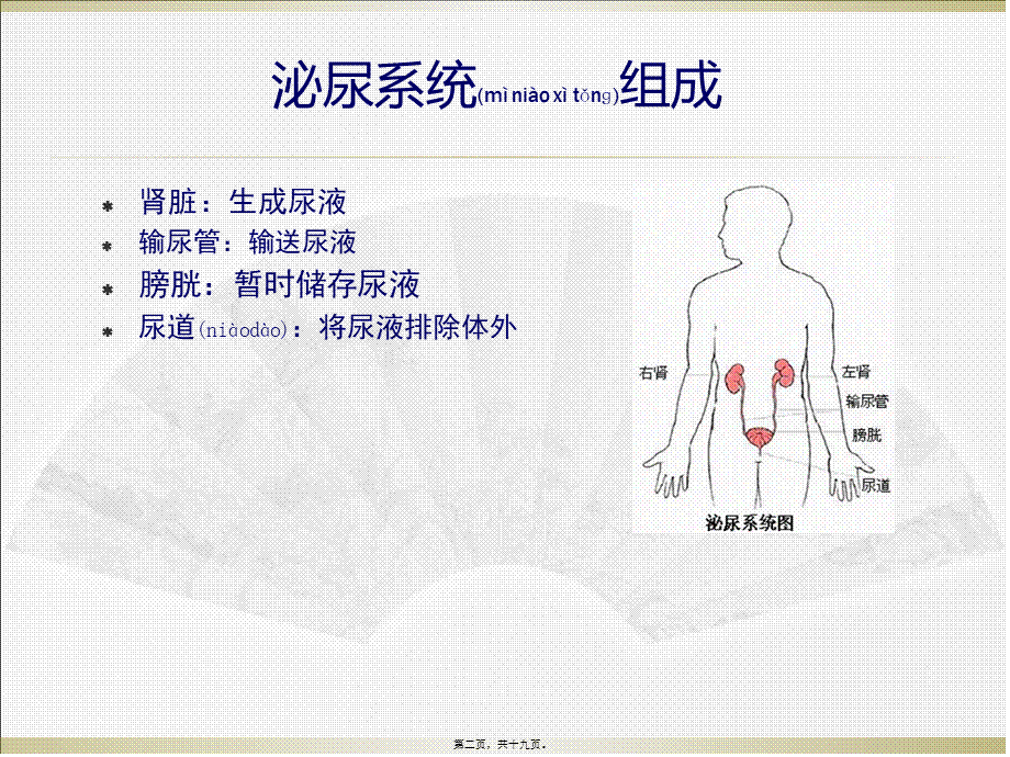 2022年医学专题—泌尿系统医院感染防控.ppt_第2页